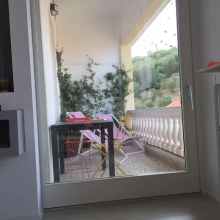 Glicine Celle Ligure